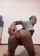 anal homemade solo