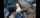 asian bbc blowjob