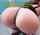 redhead big ass thong