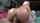 blonde anal oil