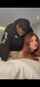redhead prone bone bbc