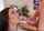 lana rhoades blowjob brunette