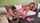 janet mason milf will steiger