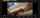 camgirl brunette masturbating
