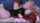 breeding chubby insemination