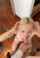 blowjob facial babe