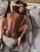 interracial missionary passionate