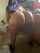big ass ebony bbw