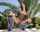 tiny teen brunette teen amateur teen