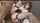 brune dap doubla anal