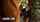 tiffany lieddi blonde husband