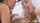 blowjob threesome horny