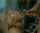 rocco siffredi blonde facial