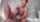 gape amateur onlyfans