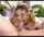 blowjob deepthroat petite