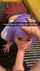 big white dick monstercock white girl