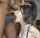 oral blowjob asian