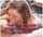 teen blowjob hardcore