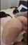jav japanese asian