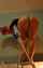 painting perfect ass camgirl