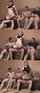 gang bang reverse cowgirl black hair
