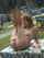 ginger creampie public