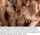 captions group gangbang