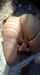 masturbation rear pussy