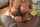 blacked big boobs boobs fuck