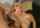 blonde big tits throatfuck