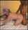 milf gilf interracial