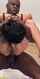interracial black bbc