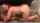 sextape riding doggystyle
