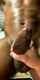 bbc sloppy handjob