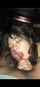 jav asian blowjob