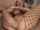 fist pantyhose oil