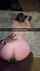 snowbunny pawg bbc
