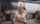 blonde beautiful titss profesional