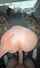 brunette amateur doggy