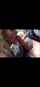 blond blowjob outdoor