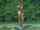 nude hitchhiker public