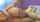 camgirl legs femdom