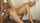 juliareaves julia reaves fick