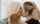 lesbian women kissing