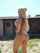 tattoo blonde skinny