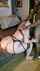 page bbc interracial