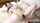 jav japanese uncensored