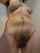hairy hairy boobs hairy chest