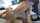 pinay filipina creampie