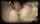 creampie missionary balls deep